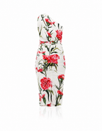 Dolce & Gabbana Floral Carnation Ruched Midi Dress